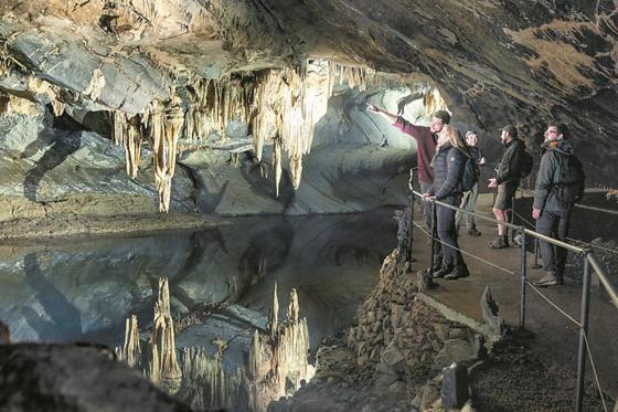 Cocoon Village - Glamping - Domaine Des Grottes De Han โรชฟอร์ ภายนอก รูปภาพ